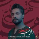 مرا تا کی کنار غم دوریت مینشانی