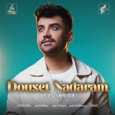 دیگه دوست ندارم نه نه ندارم