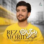من مواظبت میشم تو گل منی باغبونت منم