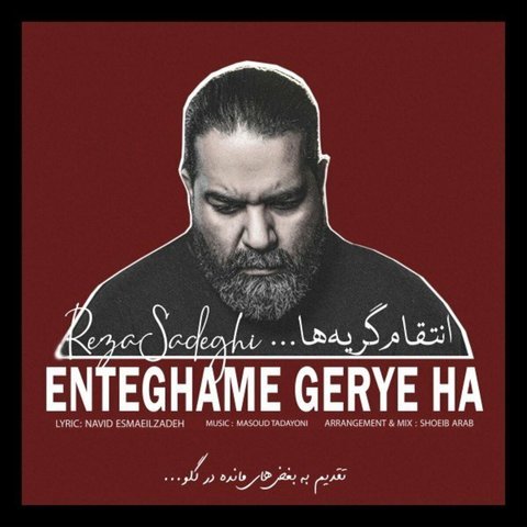 دانلود آهنگ انتقام گریه ها از رضا صادقی انتقام گریه ها