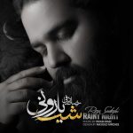 شب بارونی