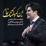 اینکه دلتنگ توام