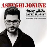 عاشقی جنونه