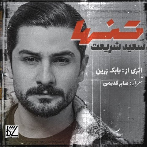 دانلود آهنگ تنها از سعید شریعت تنها