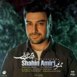 امیری ممنونم