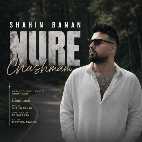 نور چشمم برگ برندم تویی
