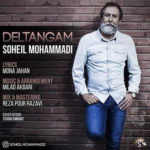 دانلود آهنگ دلتنگم از سهیل محمدی دلتنگم