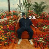 Gol