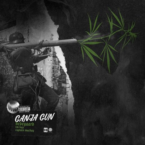 دانلود آهنگ GANJA GUN از تی ام بکس GANJA GUN