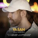 گل شب بو
