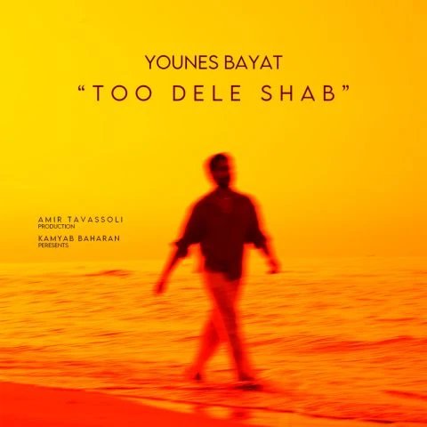 دانلود آهنگ تو دل شب از یونس بیات تو دل شب
